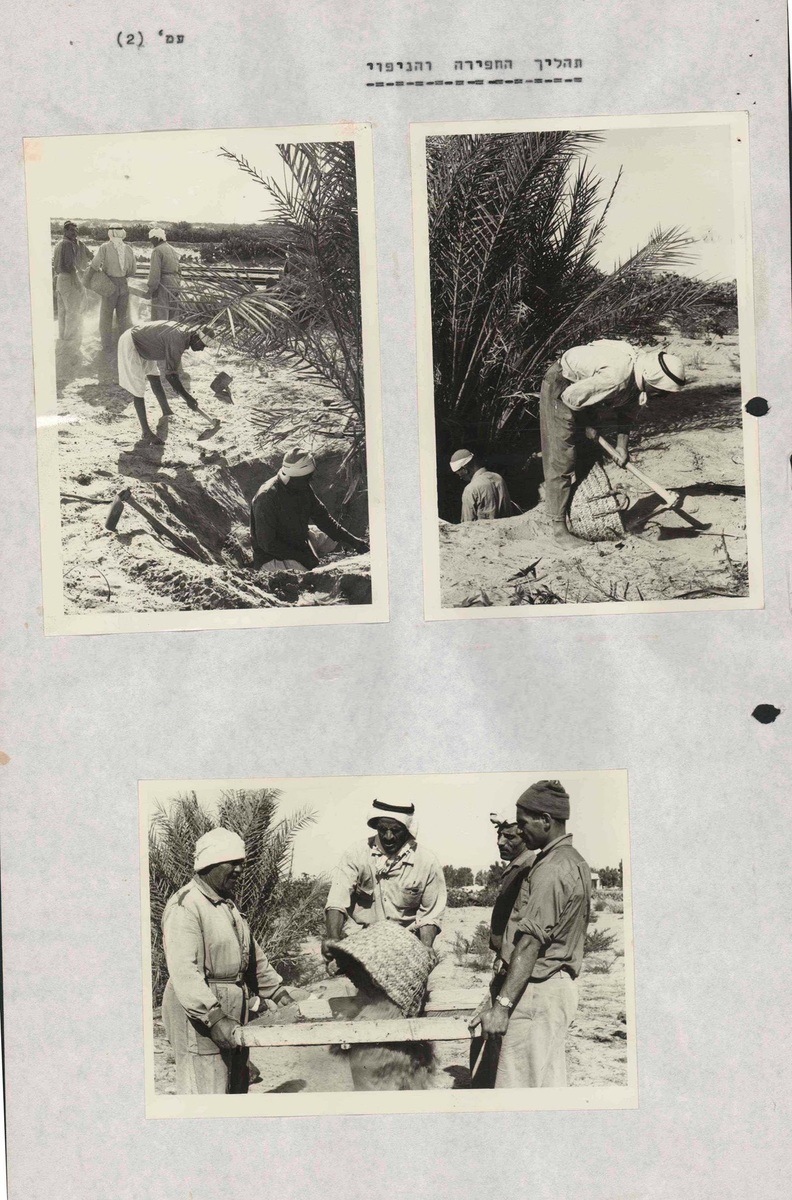 תהליך הוצאת עצמותיו של אבשלום פיינברג